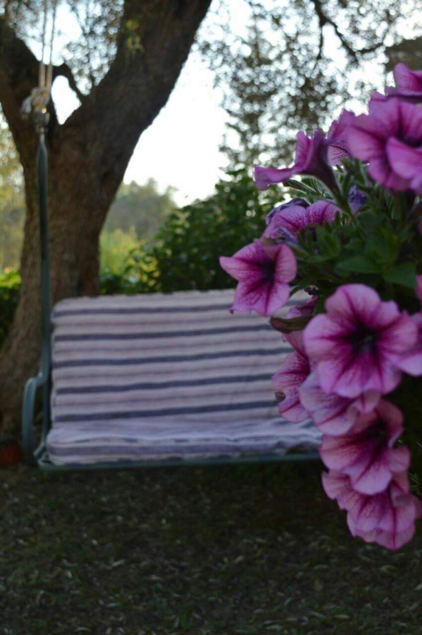 Sunny Garden Lejlighed Plataria Eksteriør billede